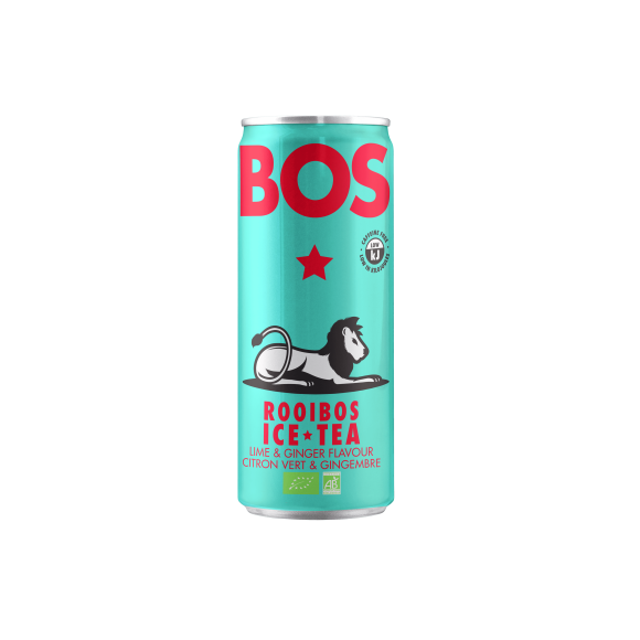 ICE TEA LIME & GINGER BIO