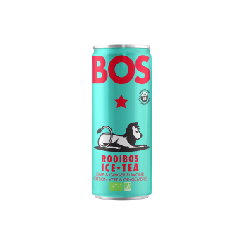 ICE TEA LIME & GINGER BIO