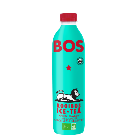 ICE TEA LIME & GINGER BIO