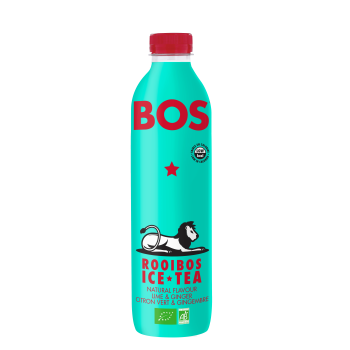 ICE TEA LIME & GINGER BIO